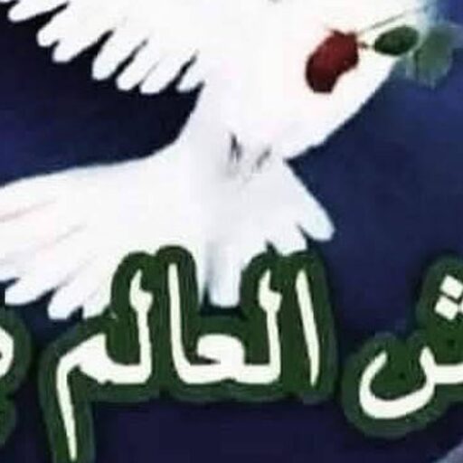 موقع الدكتور عبد الحكيم المغربي